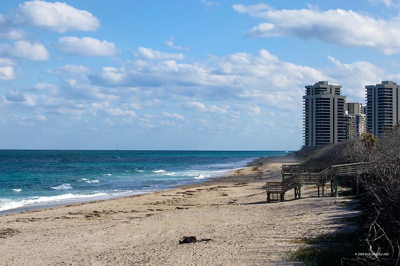 20090221_154936 D3 P1 5100x3400 srgb.jpg - Atlantic Coastline, MacArthur Beach State Park.  The MacArthur Foundation is one of the 10 largest in the US.